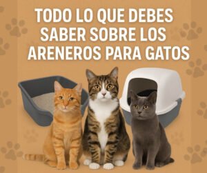 Los Mejores Areneros para Gatos