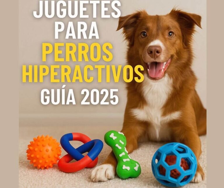 Los mejores juguetes para perros hiperactivos Guía 2025