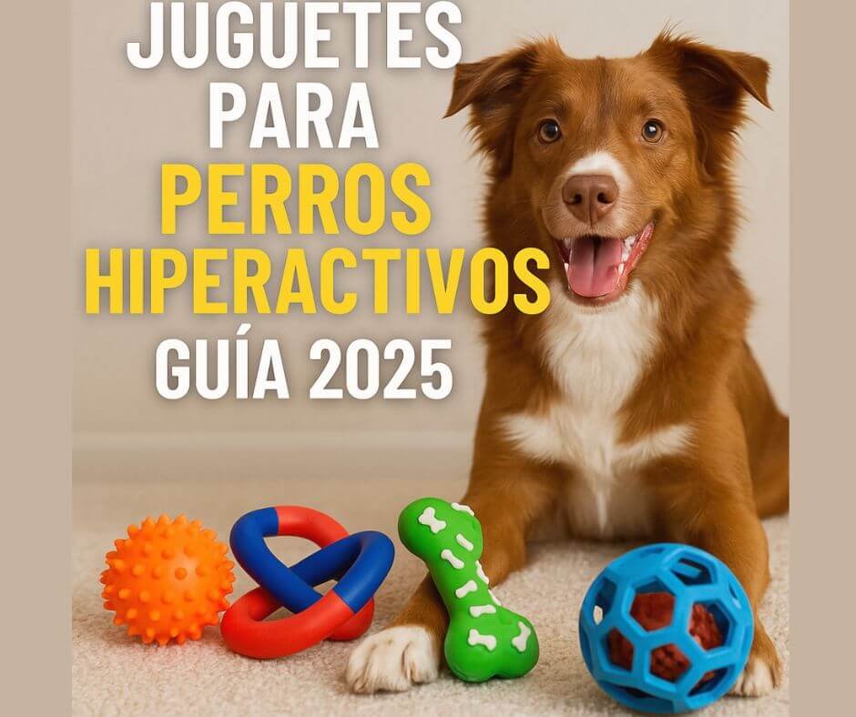 Los mejores juguetes para perros hiperactivos Guía 2025