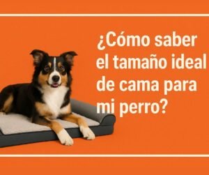 como saber el tamaño ideal de cama para mi perro