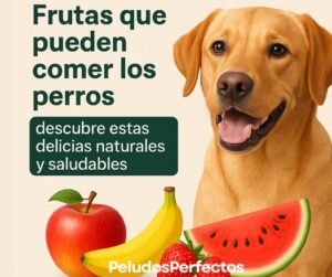 Frutas que pueden comer los perros