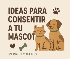 ideas para consentir a tu mascota