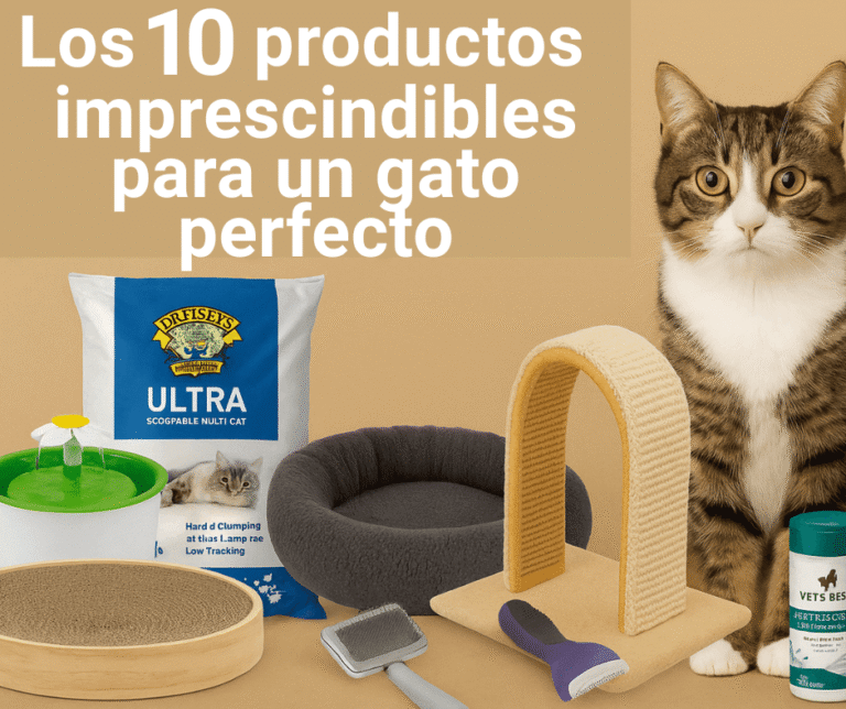 productos imprescindibles para gatos