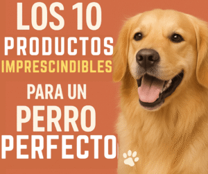 productos imprescindibles para perros