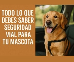 seguridad vial para mascotas